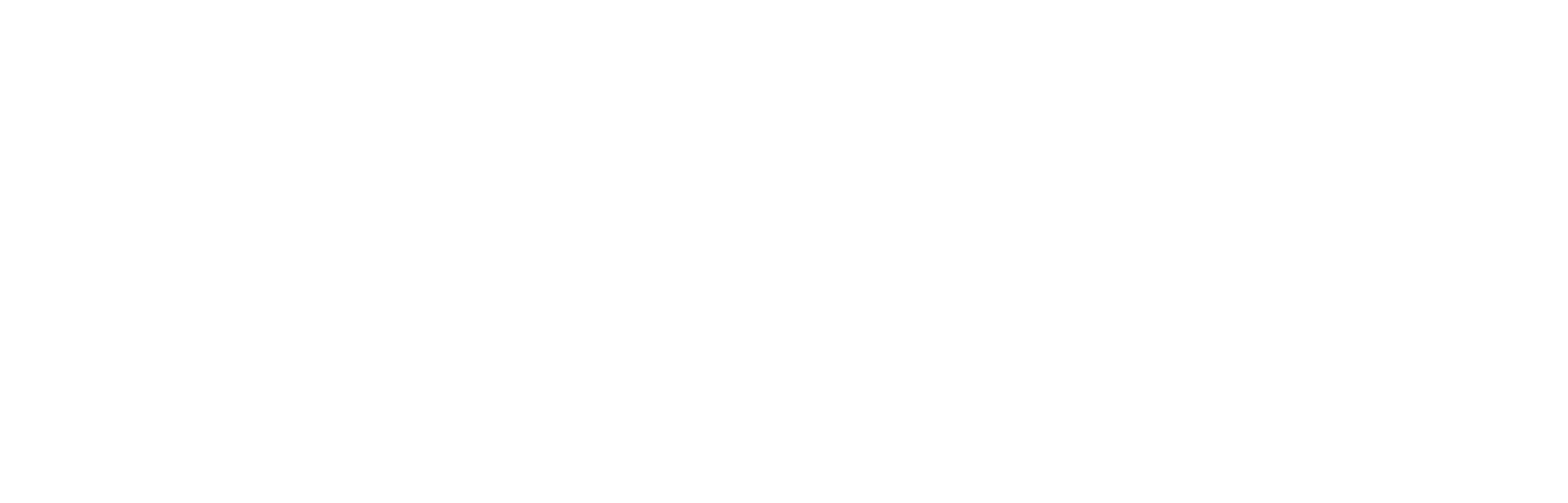 Primus Automazioni